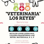 Profile Picture of Veterinaria 