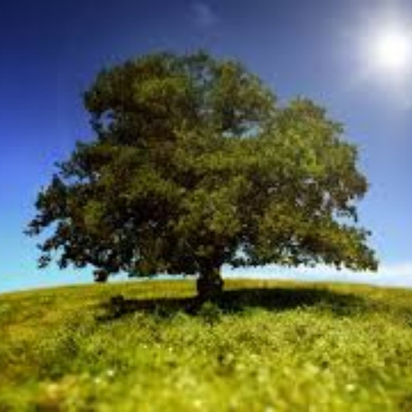 Lady Cades - Poshmark Profile Picture of Lady Cades (@ladycades) on Poshmark