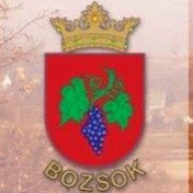 Profile Picture of Bozsoki SE (@bozsokise1381) on Youtube