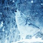 Profile Picture of Jacqueline Schröder (@jacquelineschroeder14) on Instagram