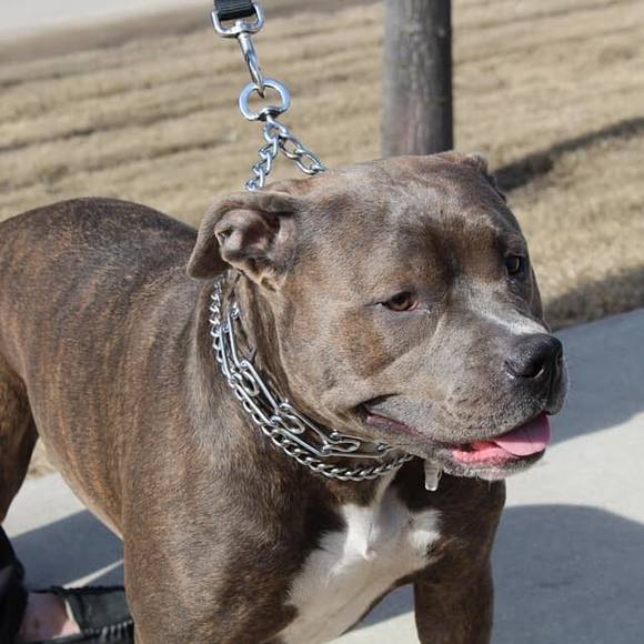 Profile Picture of Crystal Fehr (@crystalfehr) on Poshmark