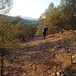 Profile Picture of Nicolas Rascon Rodriguez (@nicolasrasconrodriguez) on Instagram