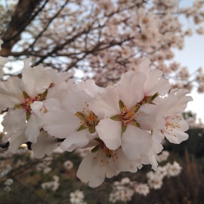 Profile Picture of Jason Gatt (@jason_gatt) on Twitter