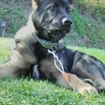 Profile Picture of Bobby Mclendon (@bobby_mclendon) on Instagram