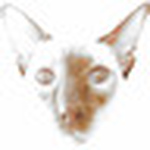 Profile Picture of Thirdangel (@thirdangel) on Flickr