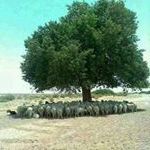 myriam soto aviles - Instagram Profile Picture of myriam soto aviles (@avilesmyriamsoto) on Instagram