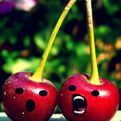 Profile Picture of Matt Linde (@mattlinde) on Twitter