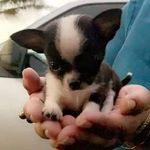 Profile Picture of Scott Sigler (@sigler_scott) on Instagram