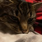 Profile Picture of Seth Storer (@Seth-Storer) on Facebook