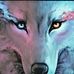Profile Picture of Tyler Scheirer (@tyler.scheirer.1) on Facebook