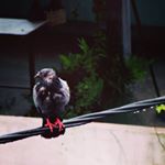 Profile Picture of Walter Mauro Fotografia (@waltermauro_fotografia) on Instagram