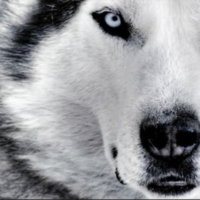 Profile Picture of Alicia Hernando (@aliciahdtwiter) on Twitter