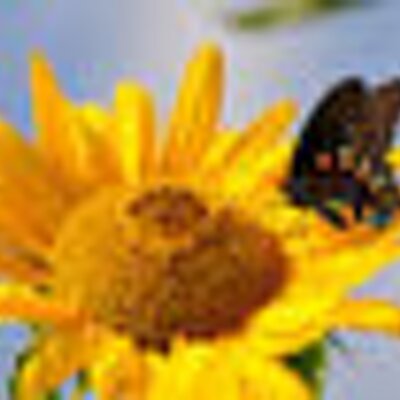 Profile Picture of Carlos  Williamson (@CarlosW58119729) on Twitter