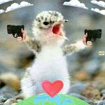 Profile Picture of Michael Rothbarth (@michaelrothbarth) on Instagram