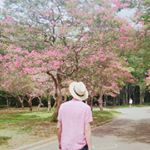 Profile Picture of Daniel Truong (@elmis.seria) on Instagram