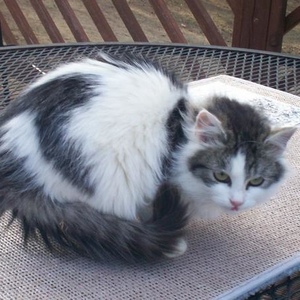 Profile Picture of Matthew Frymier (@129696463) on Myspace