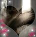 Profile Picture of Joe Cronin (@joe.cronin.37669) on Facebook