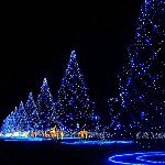 Profile Picture of Blake Denney (@denneywal311) on Instagram