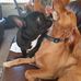 Profile Picture of John Hewitson (@john.hewitson.7355) on Facebook