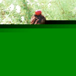 Kim Neung Keum - Myspace Profile Picture of Kim Neung Keum (@444769719) on Myspace