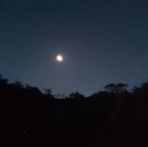 Profile Picture of Tomas Sis (@Tomas-Sis) on Facebook