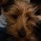 Profile Picture of Rhonda M Hodge (@rhonda.m.caldwell.5) on Facebook