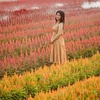 Profile Picture of rubycheng243 (@@rubycheng243) on Tiktok