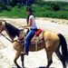 Profile Picture of Alvarez Daniela (@danielaat) on Pinterest