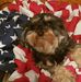 Profile Picture of Rita Tittle (@rita.tittle) on Facebook