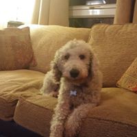 Profile Picture of Tony Zanieri (@tony-zanieri) on Quora