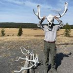 Profile Picture of Dan Shimek (@dan.shimek) on Instagram