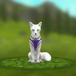 Profile Picture of kate knapp (@angelbeern) on Instagram