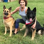 Profile Picture of Colleen Holloway (@colleenholloway59) on Instagram