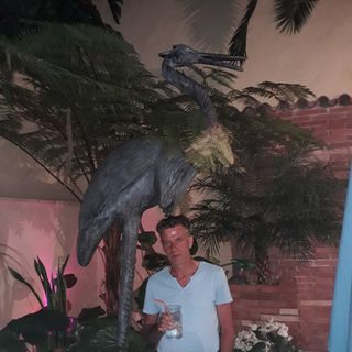 Profile Picture of Andrzej Chojnowski (@andrzej.chojnowski.9) on Facebook