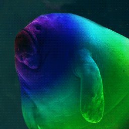 Profile Picture of Jordanmccue (@jabmccue1) on Twitter