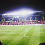 Profile Picture of Markéta Koželuhová (@marky__99) on Instagram