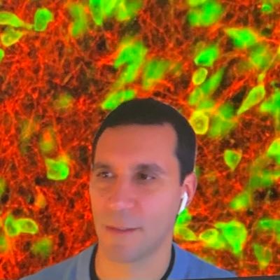 Profile Picture of Giancarlo Vanini (@GC_Vanini) on Twitter