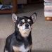 Profile Picture of Rusty Owen (@rusty.owen.16) on Facebook