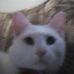 Profile Picture of Kathy Bugenhagen (@kathy.bugenhagen) on Facebook