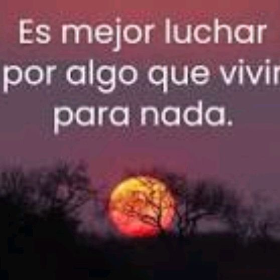 Profile Picture of ARMANDO LABRADOR (@follones6) on Tiktok