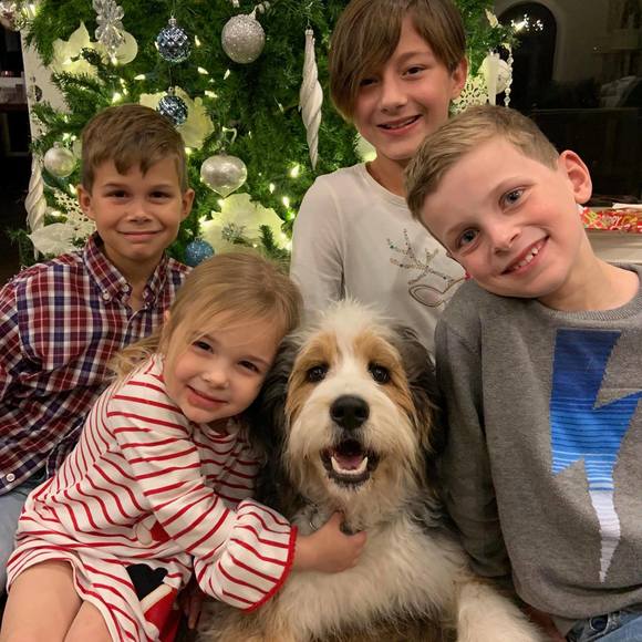 Profile Picture of Stephanie Merrifield (@stephaniemerrif) on Poshmark