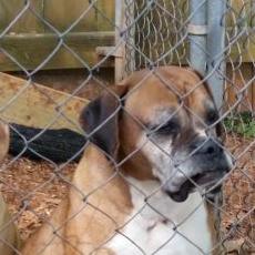 Profile Picture of Joe Sitton (@Joe_sitton_13) on Twitter