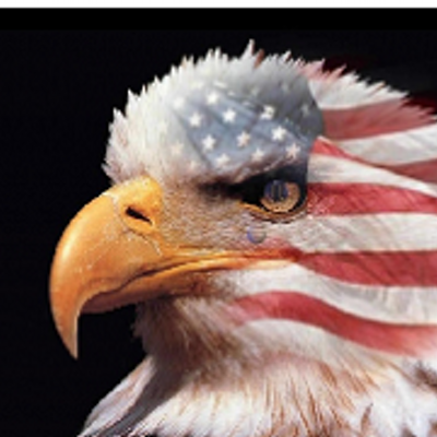 Profile Picture of Daniel David Louro (@lourodaniel1) on Twitter