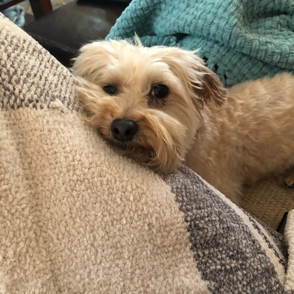 Profile Picture of Rachel Matherlee (@musicfreak97) on Poshmark