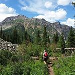 Profile Picture of Scott Ferguson (@blackthumbnomad) on Instagram