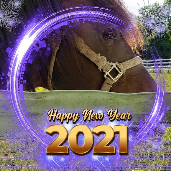 Profile Picture of June Slabach (@juneslabach) on Poshmark