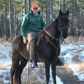 Profile Picture of Dave Pomfret (@TerfmopD) on Twitter