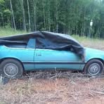 Profile Picture of Laverne Bates (@laverne.bates.973900) on Facebook