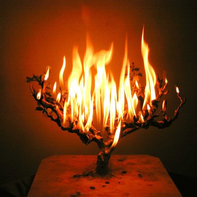 Profile Picture of Scott Straight (@scottxc3) on Twitter