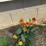 Profile Picture of Shelly Talbott (@shelly.talbott.1) on Facebook